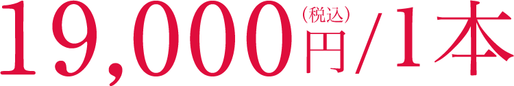 19,000円