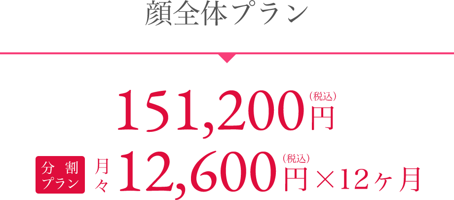 顔全体プラン 151,200円(税込)分割プラン月々12,600円(税込)×12ヶ月