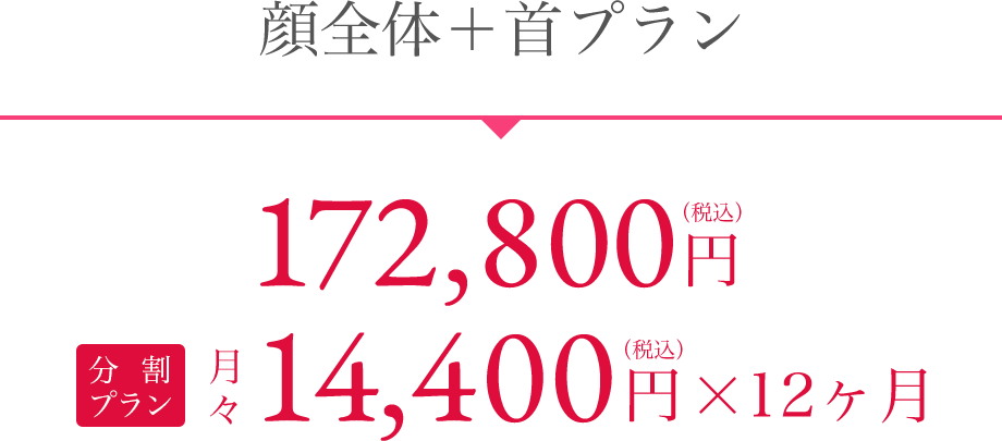 顔全体+首プラン 172,800円(税込)分割プラン月々14,400円(税込)×12ヶ月