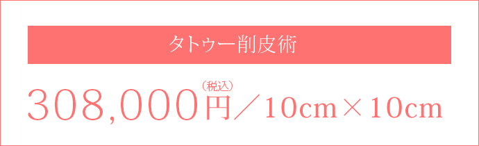 削皮術308,000円(税込)／10cm×10cm