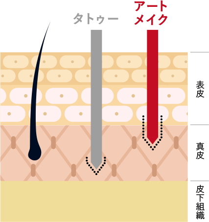 アートメイクと刺青(タトゥー)の違い