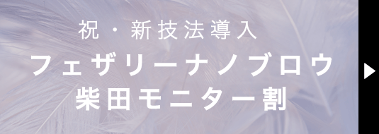 祝・新技法導入 フェザリーナノブロウ 柴田モニター割