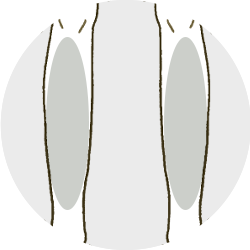 ふくらはぎ