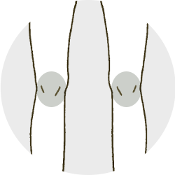 膝