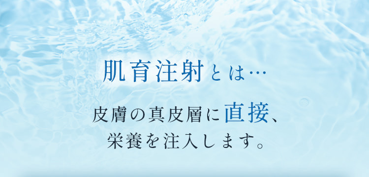 肌育注射とは 皮膚の真皮層に直接、栄養を注入します。