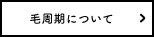 毛周期について