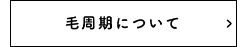 毛周期について