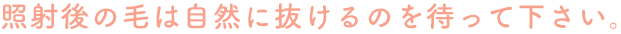 照射後の毛は自然に抜けるのを待って下さい。