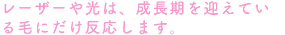 レーザーや光は、成長期を迎えている毛にだけ反応します。