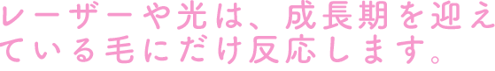 レーザーや光は、成長期を迎えている毛にだけ反応します。