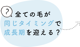 全ての毛が同じタイミングで成長期を迎えている？