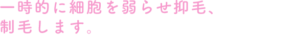 一時的に細胞を弱らせ抑毛、制毛します。
