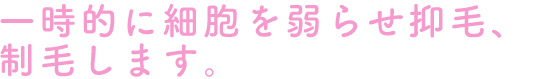 一時的に細胞を弱らせ抑毛、制毛します。