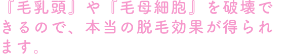 『毛乳頭』や『毛母細胞』を破壊できるので、本当の脱毛効果が得られます。