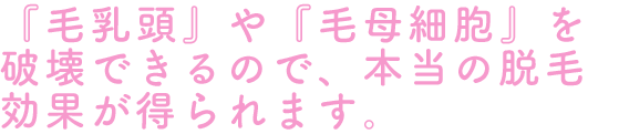 『毛乳頭』や『毛母細胞』を破壊できるので、本当の脱毛効果が得られます。