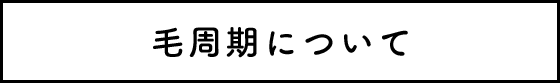 毛周期について