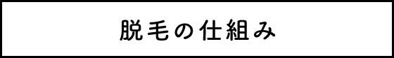 脱毛の仕組み