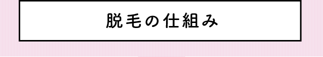 脱毛の仕組み