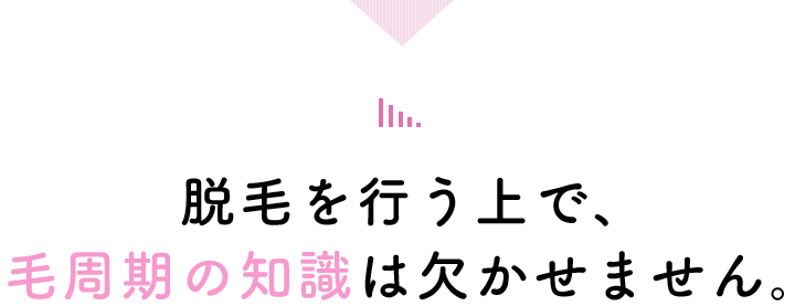 脱毛を行う上で、毛周期の知識は欠かせません。