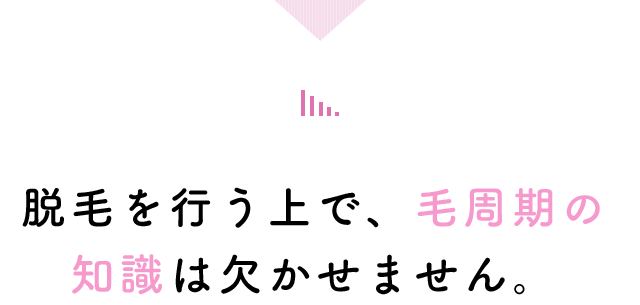 脱毛を行う上で、毛周期の知識は欠かせません。