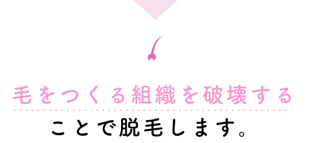 毛をつくる組織を破壊することで脱毛します。