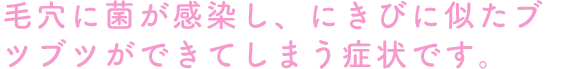 毛穴に菌が感染し、にきびに似たブツブツができてしまう症状です。