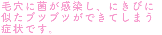 毛穴に菌が感染し、にきびに似たブツブツができてしまう症状です。