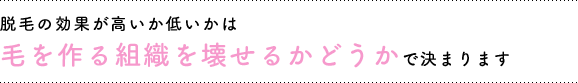脱毛の効果が高いか低いかは、毛を作る組織を壊せるかどうかで決まる！