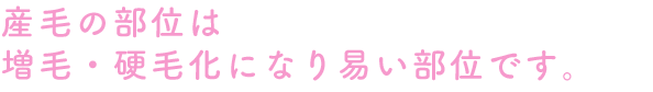産毛の部位は増毛・硬毛化になり易い部位です。