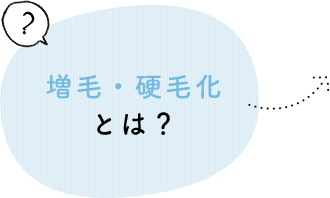 増毛・硬毛化とは？