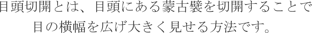 目頭切開とは、目頭にある蒙古襞を切開することで目の横幅を広げ大きく見せる方法です。