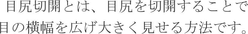 目尻切開とは、目尻を切開することで目の横幅を広げ大きく見せる方法です。