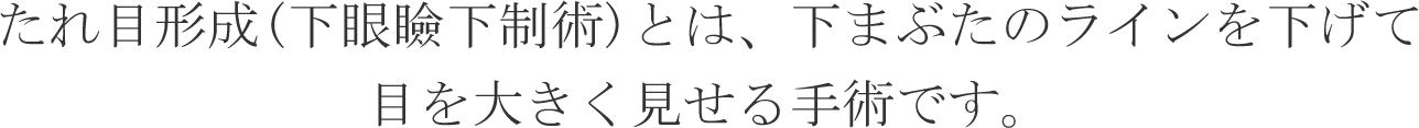 タレ目形成(下眼瞼下制術)とは、下まぶたのラインを下げて目を大きく見せる手術です。