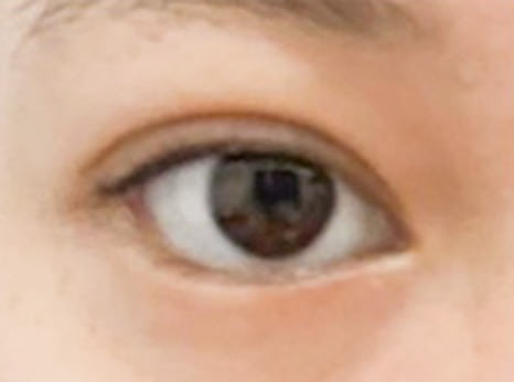 埋没法プレミアム