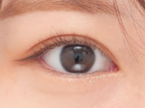 埋没法プレミアム