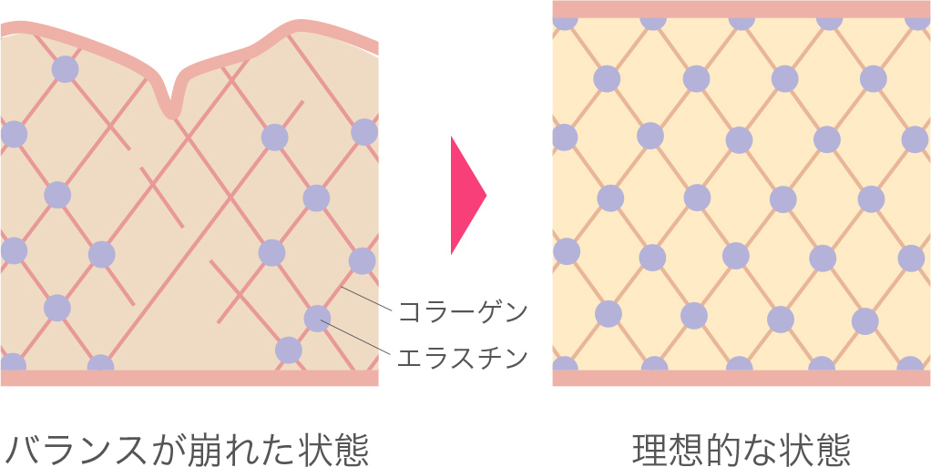 肌のハリ・弾力も改善される