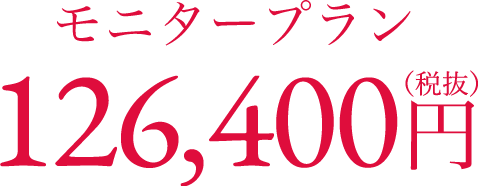 モニタープラン 153,900円(税込)