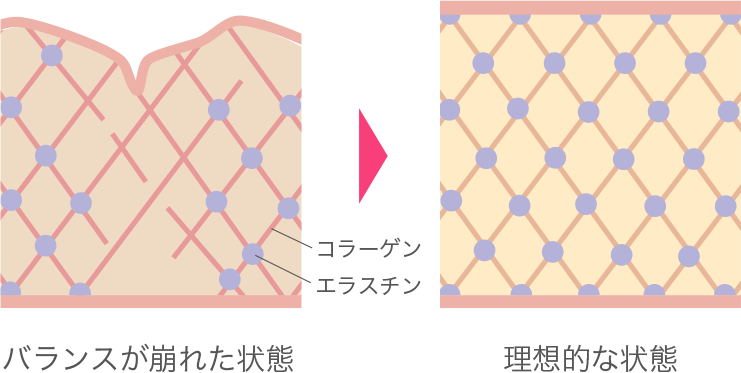 肌にハリ・弾力を与えることができる