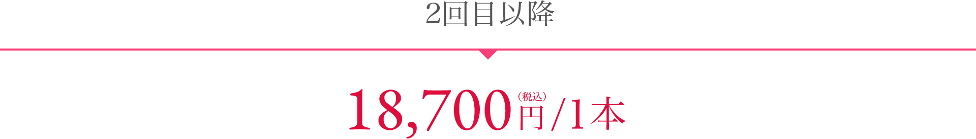 2回目以降 18,700円(税込)/1本