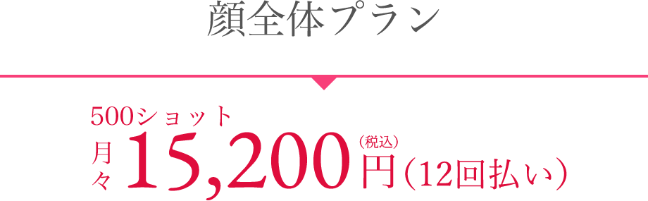 顔全体プラン 分割プラン月々15,200円（税込）×12ヶ月