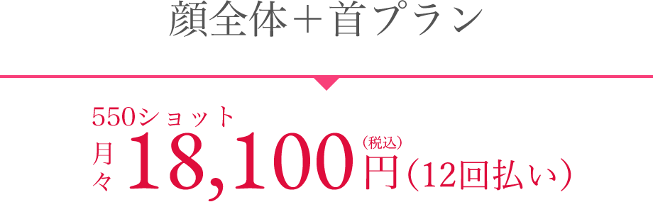 顔全体＋首プラン 分割プラン月々18,100円（税込）×12ヶ月