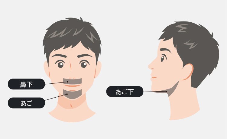 ヒゲ3部位セット