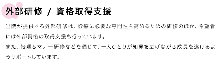 外部研修／資格取得支援