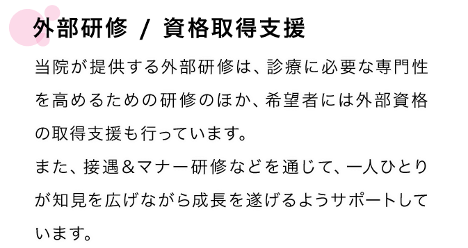 外部研修／資格取得支援