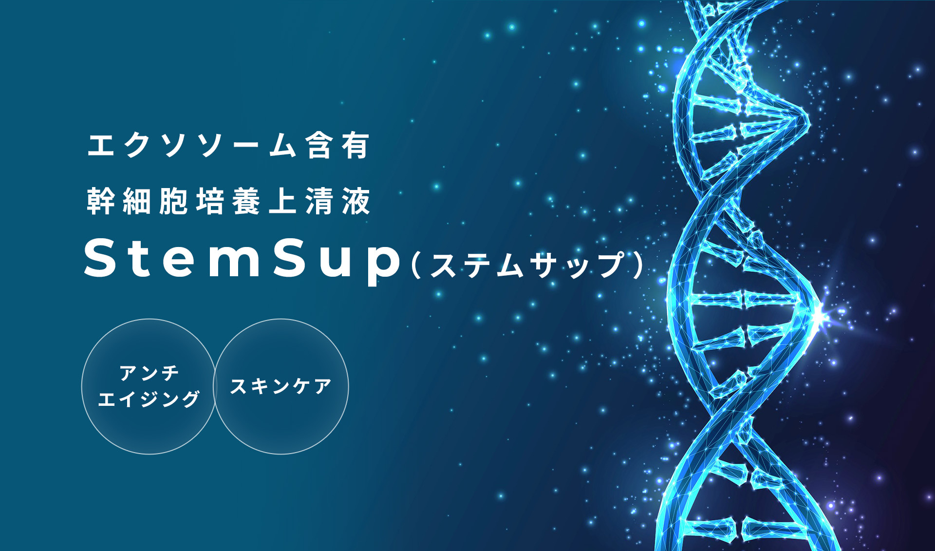 エクソソーム含有幹細胞培養上清液 StemSupⓇ（ステムサップ） アンチエイジング スキンケア