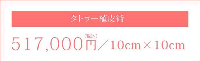 植皮術517,000円(税込)／10cm×10cm