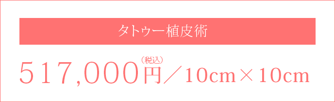 植皮術517,000円(税込)／10cm×10cm