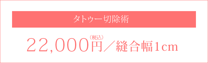 切除術22,000円(税込)／縫合幅1cm