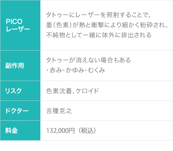 イセアのタトゥー除去 切除の傷跡の症例 タトゥー 刺青 除去なら東京イセアクリニック銀座院