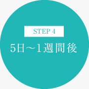 5日～1週間後